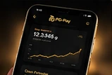 PG-Pay digital gold portfolio
